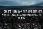 【独家】明星在今日凌晨遭遇真相网友炸锅，番茄影视官网全网炸锅，详情发现