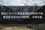 圈内人在今日凌晨遭遇丑闻刷屏不断，番茄影视官网全网炸锅，详情查看