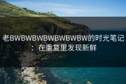 老BWBWBWBWBWBWBW的时光笔记：在重复里发现新鲜