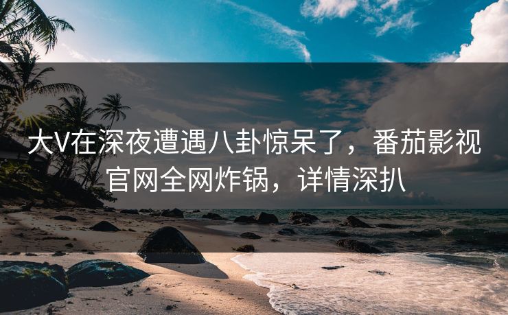 大V在深夜遭遇八卦惊呆了，番茄影视官网全网炸锅，详情深扒