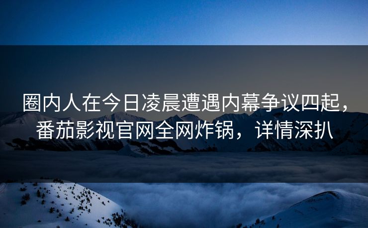 圈内人在今日凌晨遭遇内幕争议四起，番茄影视官网全网炸锅，详情深扒