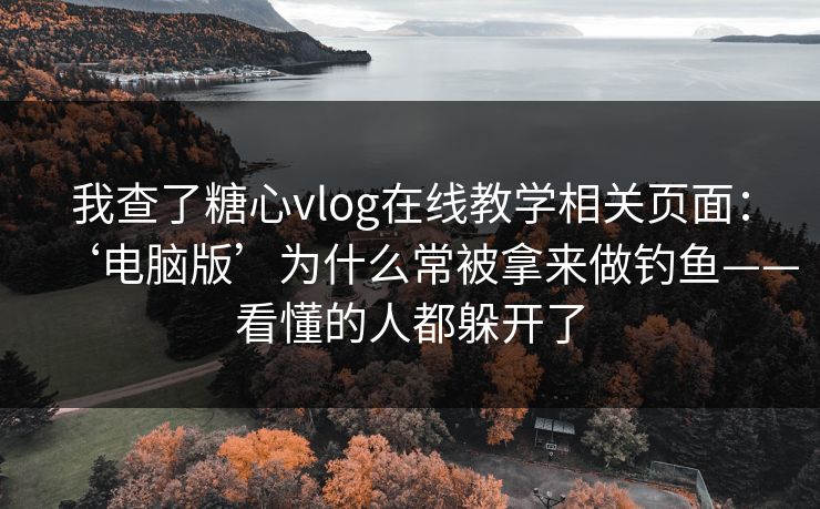 我查了糖心vlog在线教学相关页面：‘电脑版’为什么常被拿来做钓鱼——看懂的人都躲开了