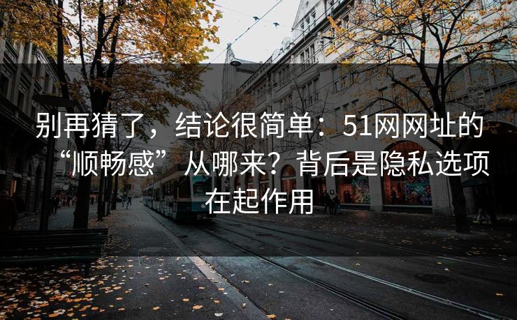 别再猜了，结论很简单：51网网址的“顺畅感”从哪来？背后是隐私选项在起作用